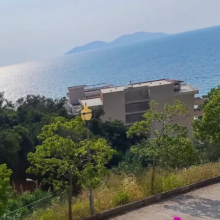 Arti * Vlorë
